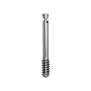 DHS/DCS Screw (with Compression Screw)